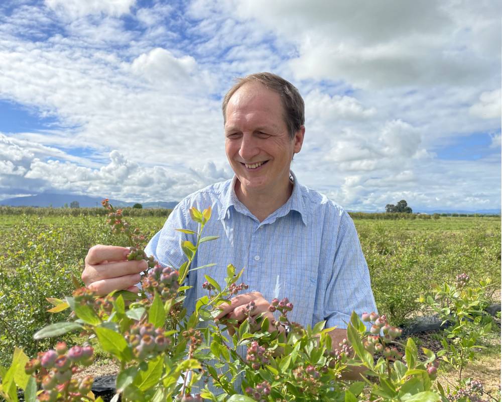 Kelvin Bezuidenhout, General Manager, Blueberry Country
