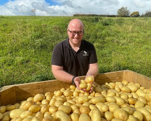 Potatoes